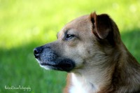 /album/naturaldreamphotography/img-6292bearbeitet-jpg1/